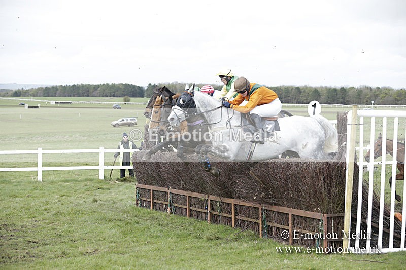 PtP 150320 0674 - New Forest Point-to-Point Larkhill 15/03/20