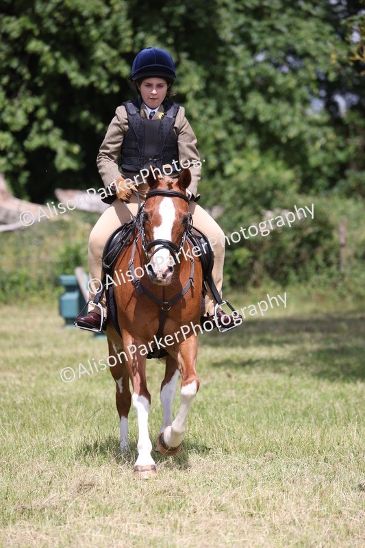 20260614-1951 - Class 21 - Novice Working Hunter Pony