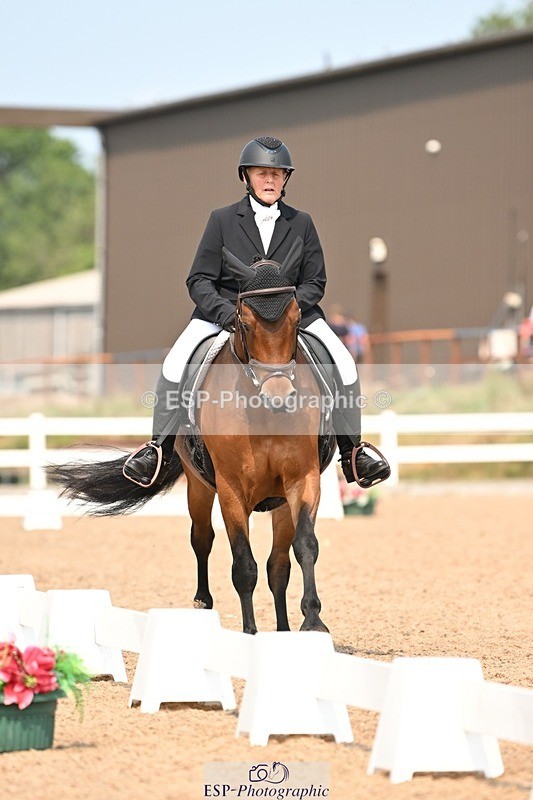 250816-142019-05090 - 049-Carolyn.GaleNewtown.Ringo