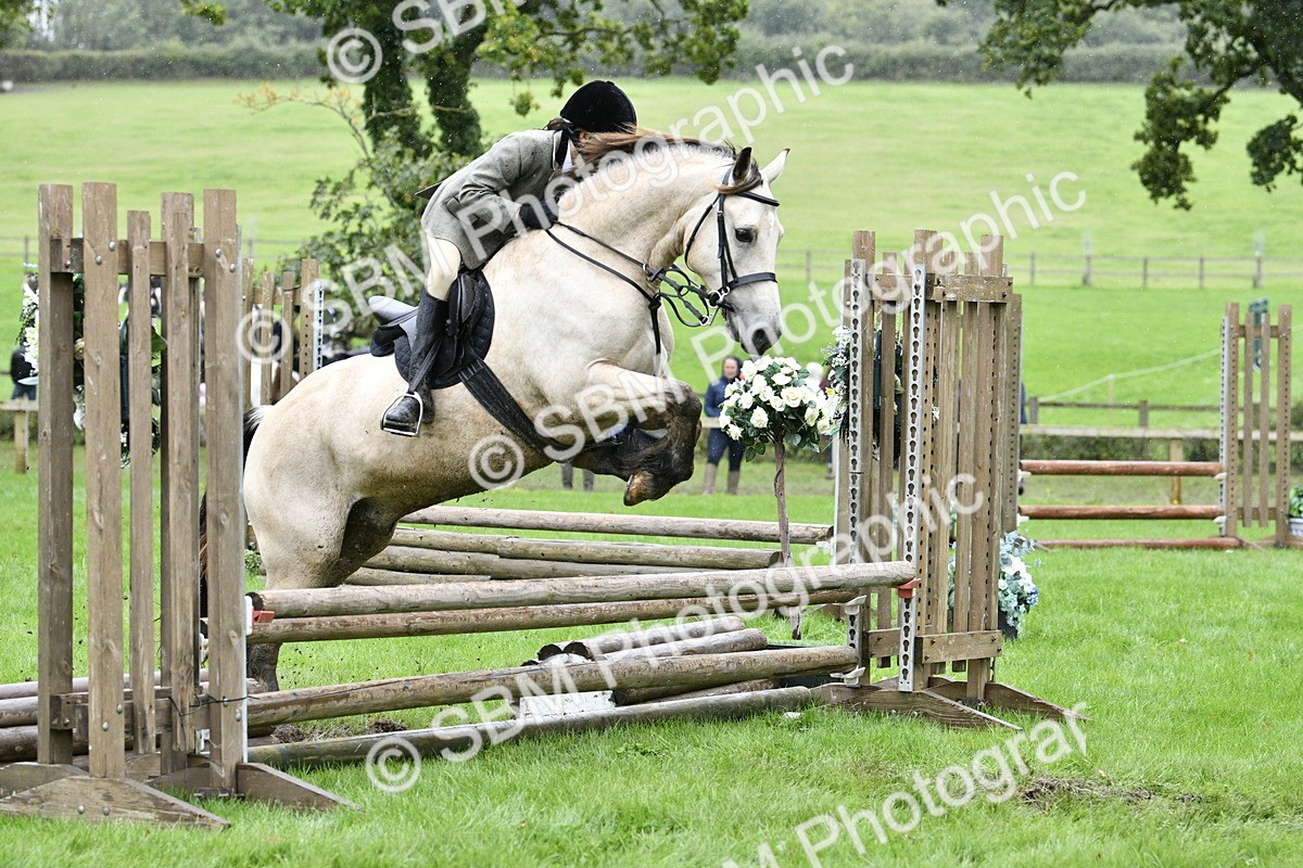 SBM_42296 - S32 - Mountain & Moorland Working Hunter Pony