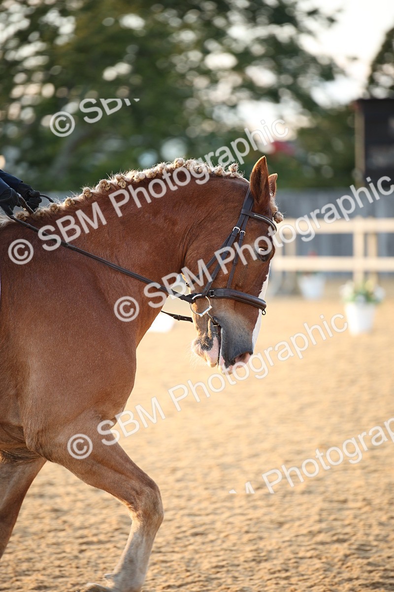 SBM_31532 - D11 - Small Tour Championship - Prelim 13
