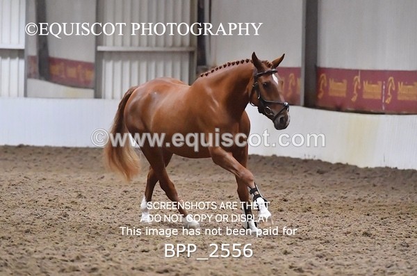 BPP_2556 - LOOSE JUMPING / SPSS