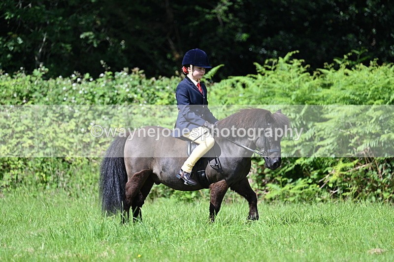 WJ7_1204 - Class 11 Condition & Turnout
