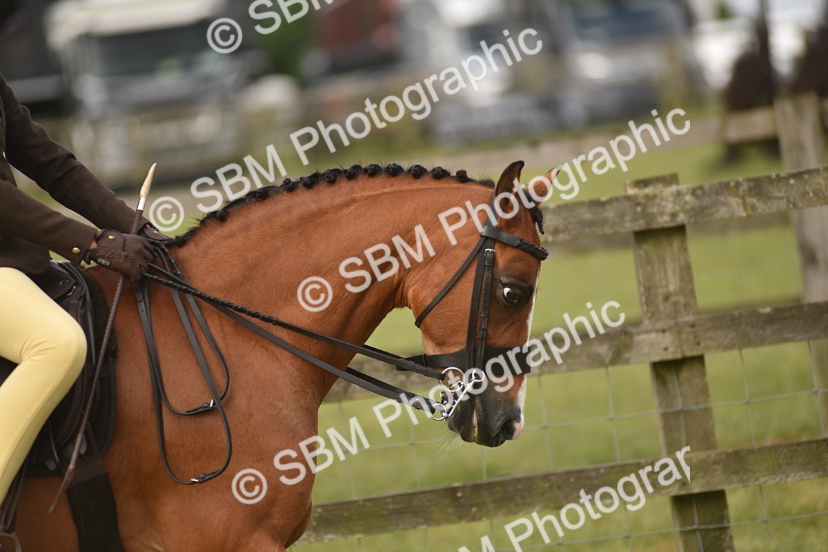 SBM_10685 - Class 110-112 - LIHS BSPS Performance Pones