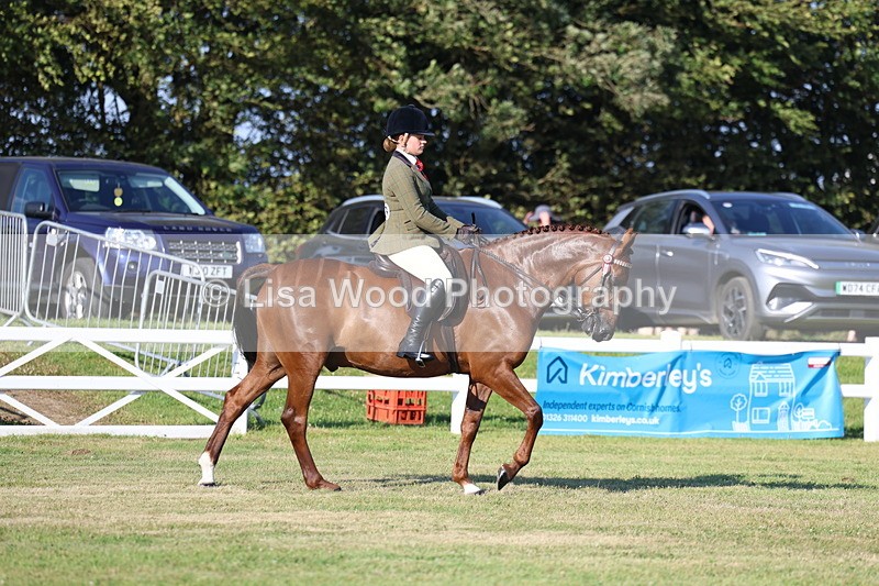 3E7A4902 - Class 1: Rising Star Small Hack/Riding Horses