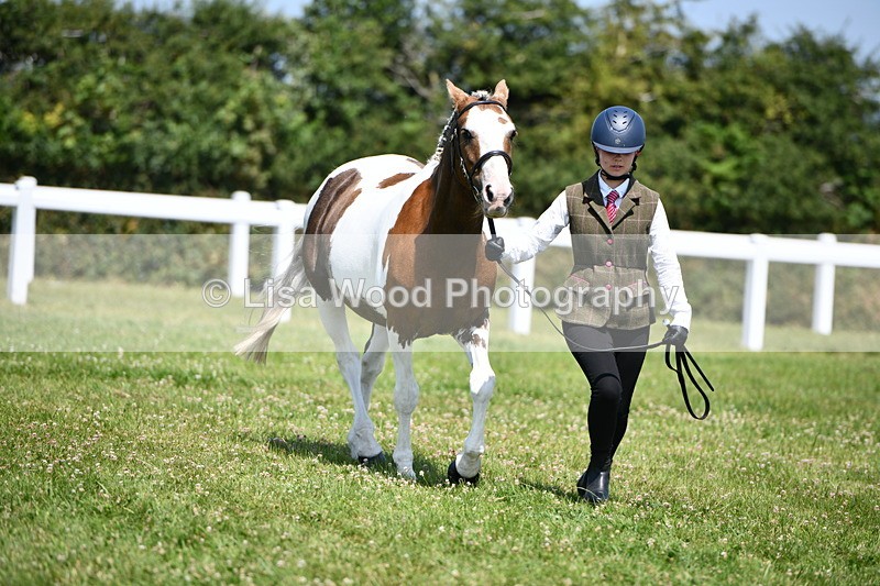 DSC_7774 - Class 64: Coloured Pony 4yrs & over