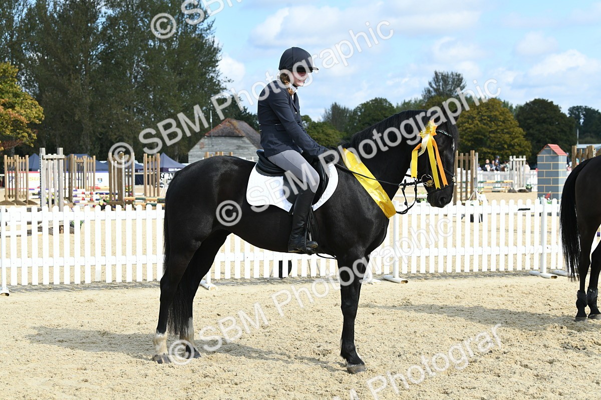 SBM_61823 - j25 - Junior Horse 80cm Championship