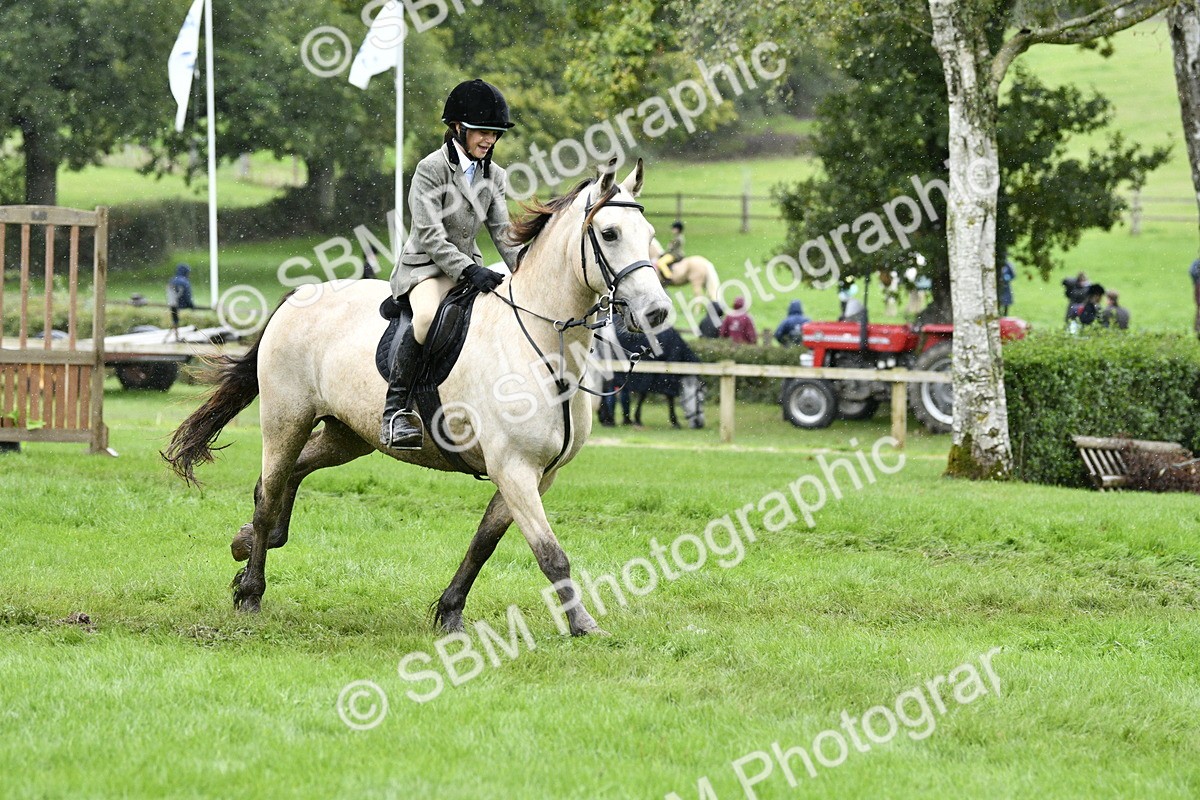 SBM_42310 - S32 - Mountain & Moorland Working Hunter Pony
