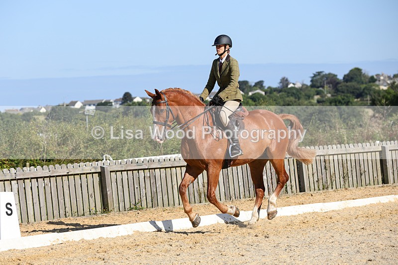 1X9A7771 - Class 9: Open Ridden Hunter