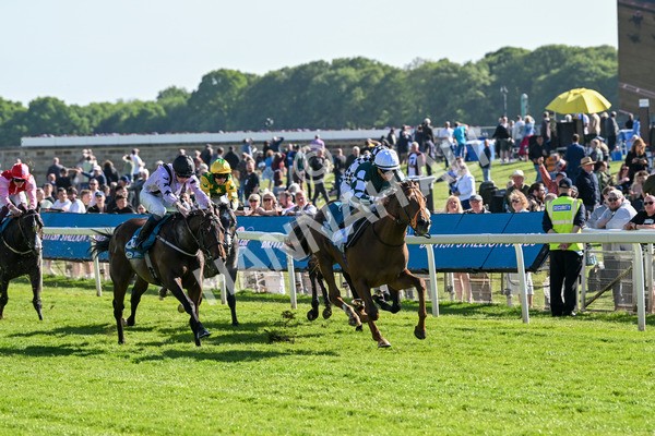140525-Race 6-Ballistic Missile-2852 - Race 6 4.55pm British Stallion Studs EBF Novice Stakes