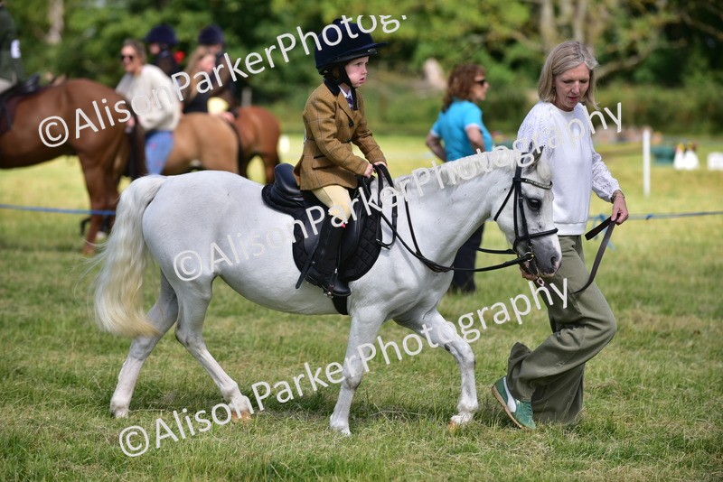 20260614-1144 - Class 11a - Lead Rein Pony (Unplaited)