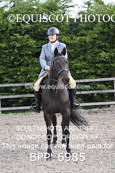 BPP_6985 - RING 1  (RIDDEN HORSES / IN HAND / VETERAN ETC)