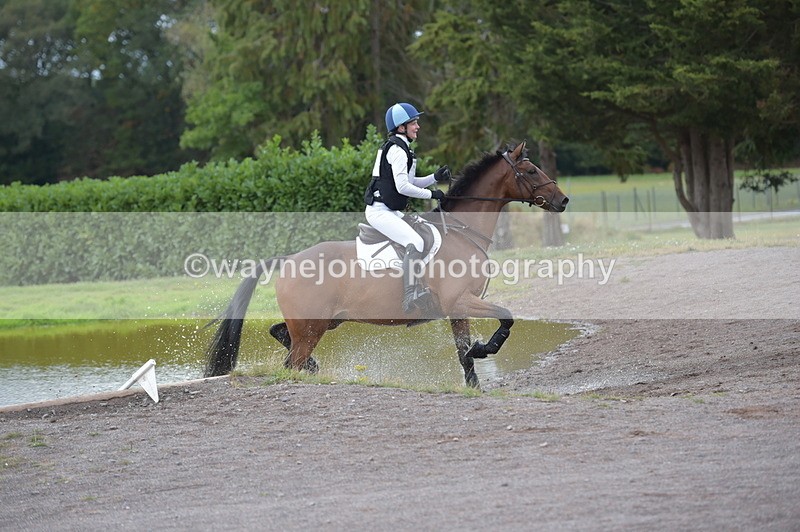 NGP_2904 - XC Time 11:37 to 11:57