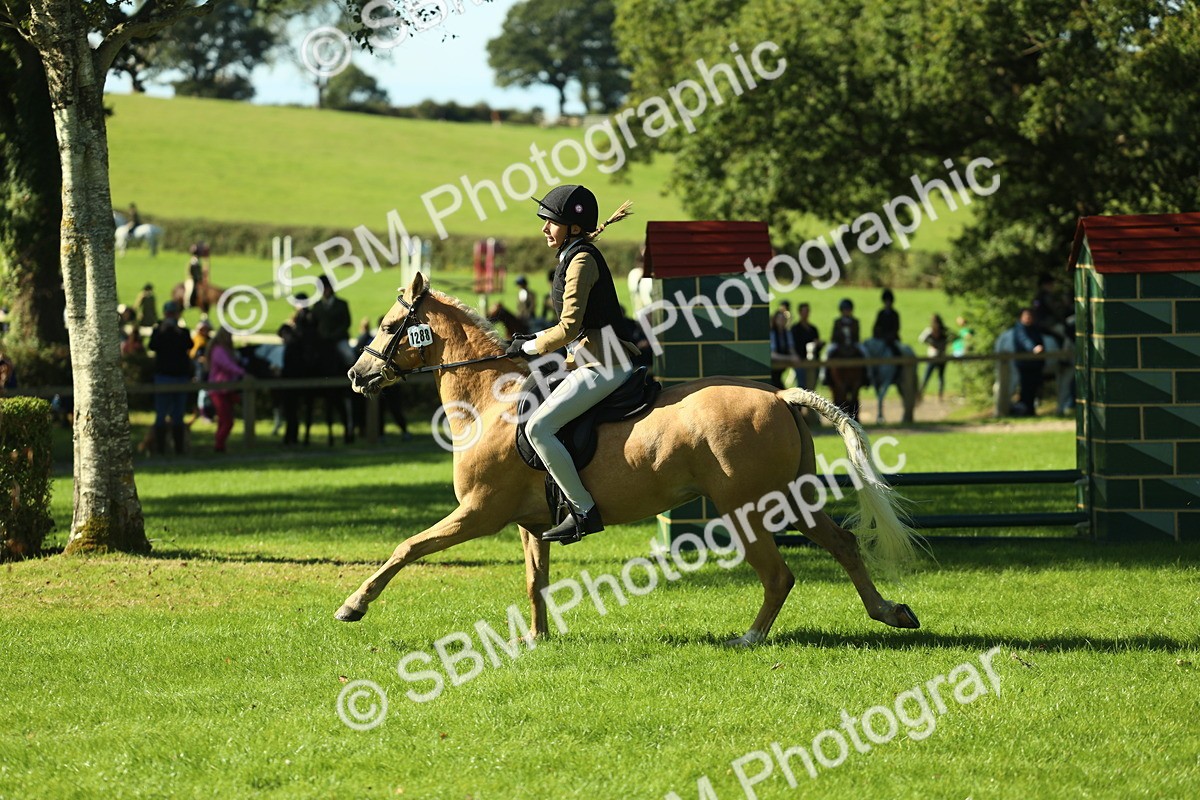 SBM_37485 - S29 - Novice & Newcomers Working Hunter Pony