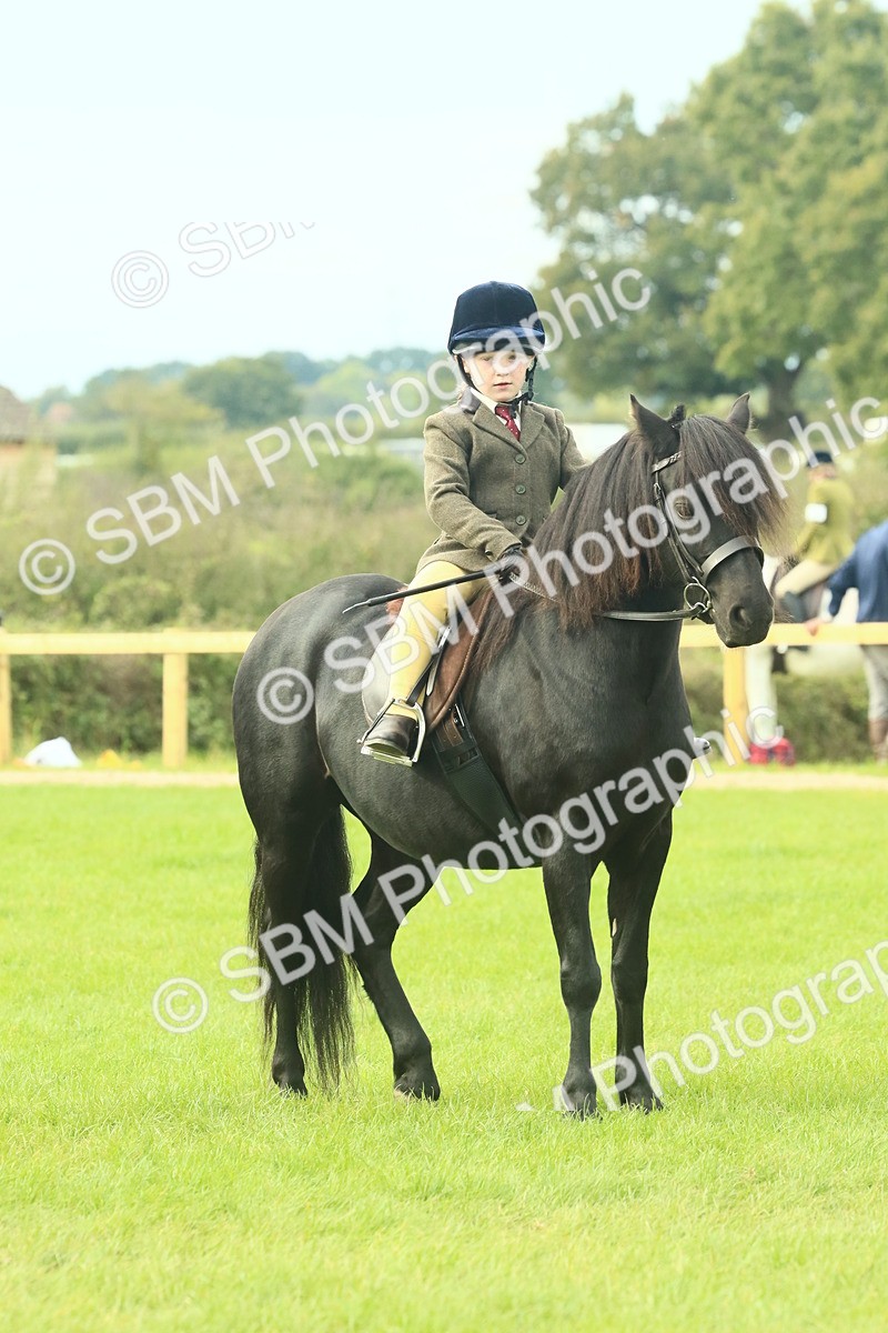 SBM_69899 - S59 - Mountain & Moorland Ridden Small Breeds
