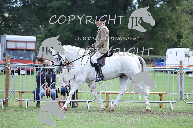 APP_4143 - Class 15a/b Pony club pony/Riding club horse