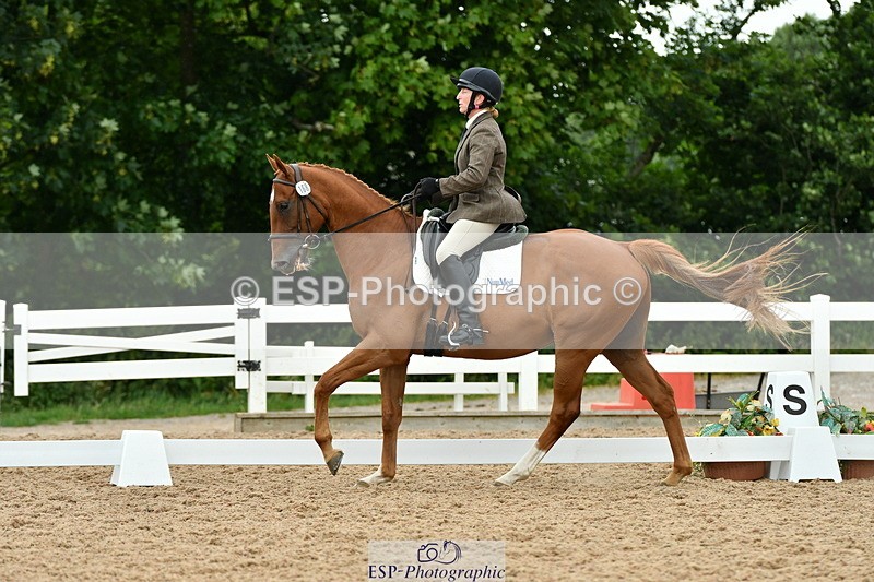 230630A-124229-01908 - Cls 7 Elementary 45