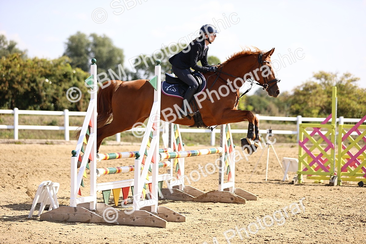 SBM_005842 - Class 9 - Senior British Novice - 90cm