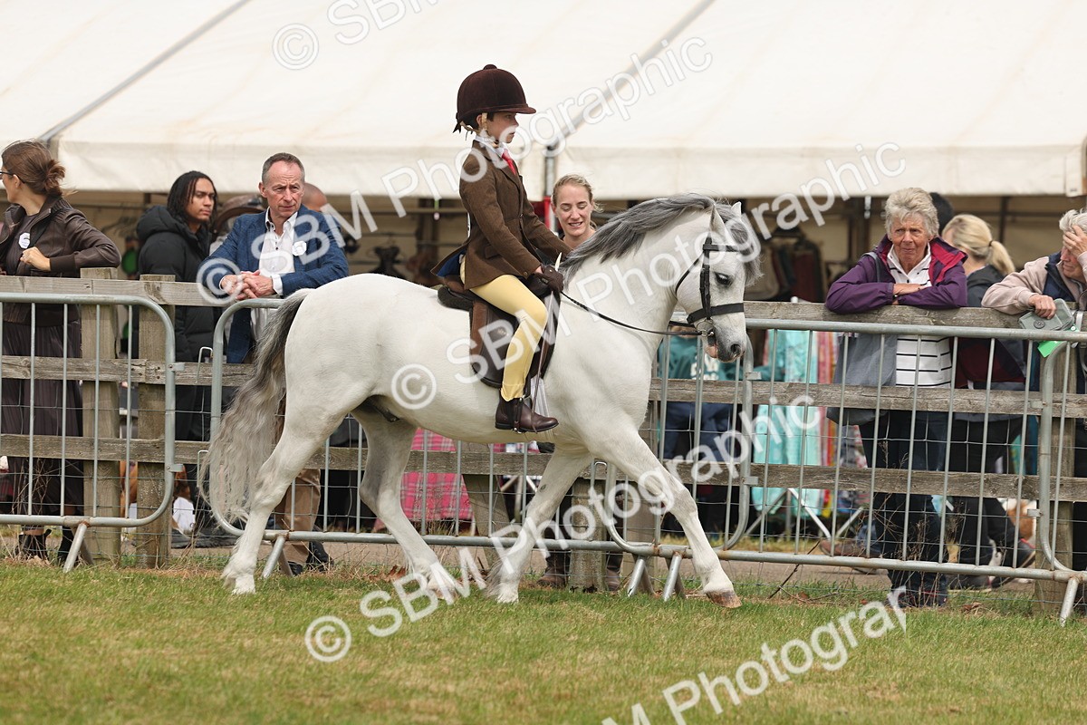 SBM_06864 - Class 74-75 - M&M Lead Rein and First Ridden Pony
