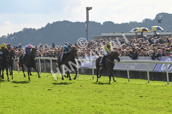 121024-Race 2-Bolster-2753 - Race 2 2.05pm Coral Daily Rewards Shaker Handicap