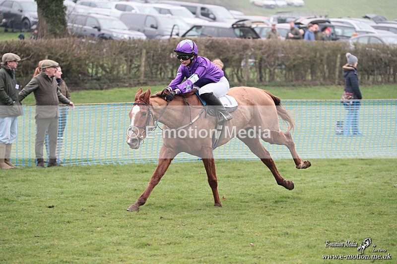 PR PtP 080326 189 - Guilsborough Pony Races 08/03/26