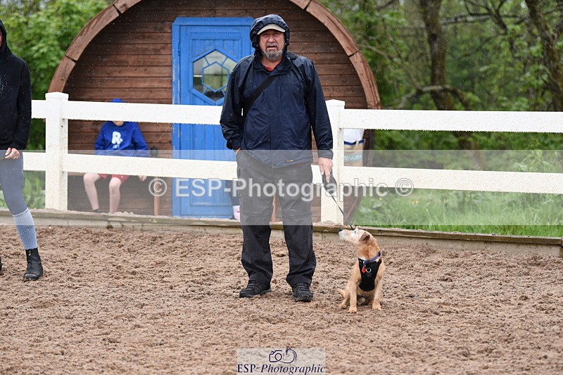 240518A-133832-01337 - Cls 9 Best in Show