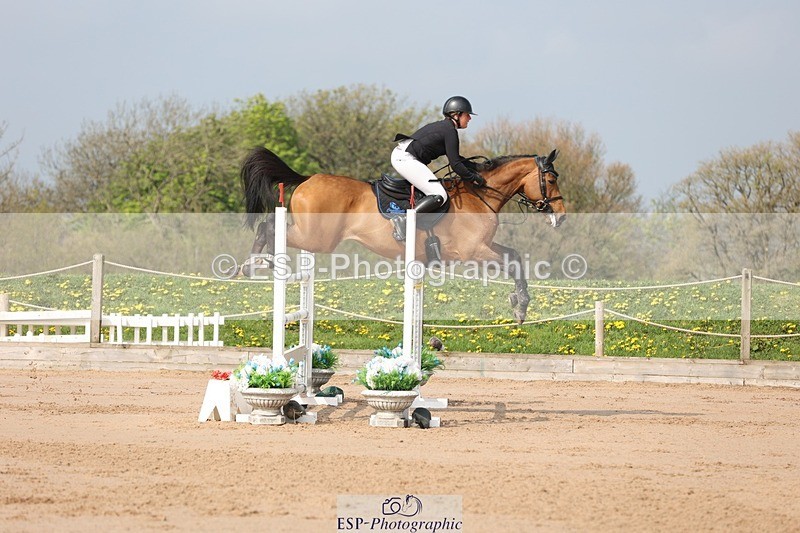 250424-103017-03058 - Cls 33 Young Horse 7yr old