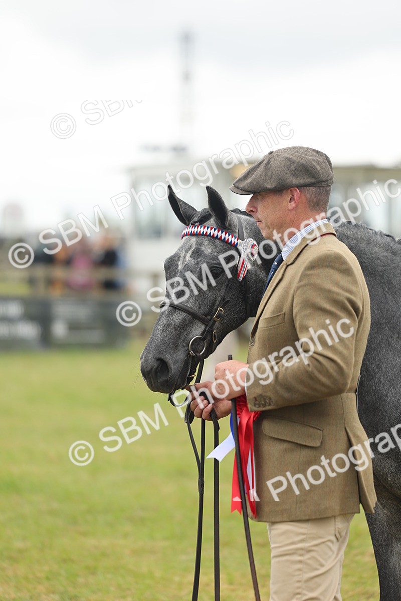 SBM_05600 - Class 68-73 - Riding Pony Breeding