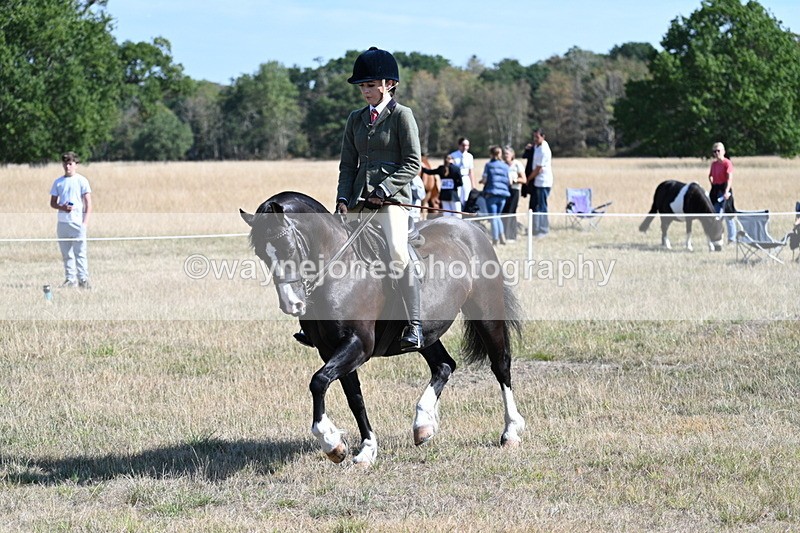WJ7_3687 - Class 9 Mountain & Moorland Ridden