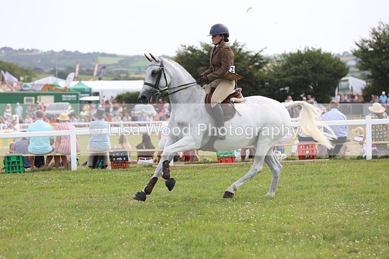 JPP_4167 - Class 25: Working Show Horse