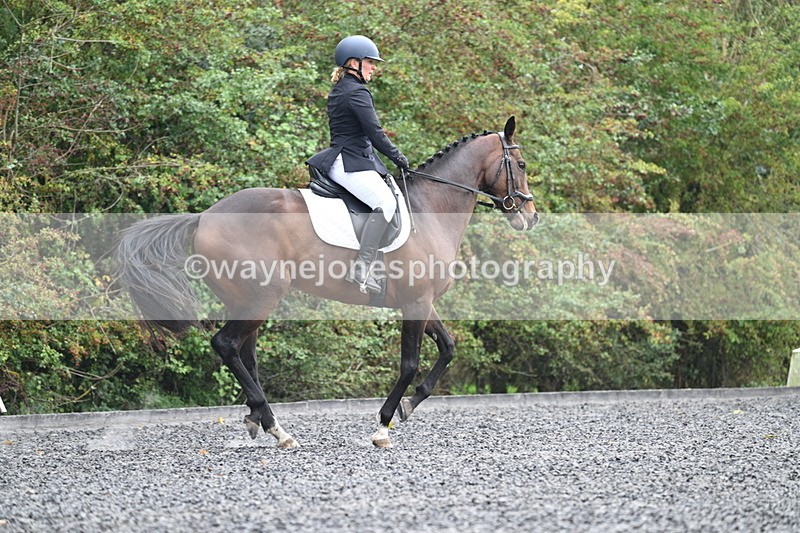 WJ7_3899 - Time 11:04 to 11:38