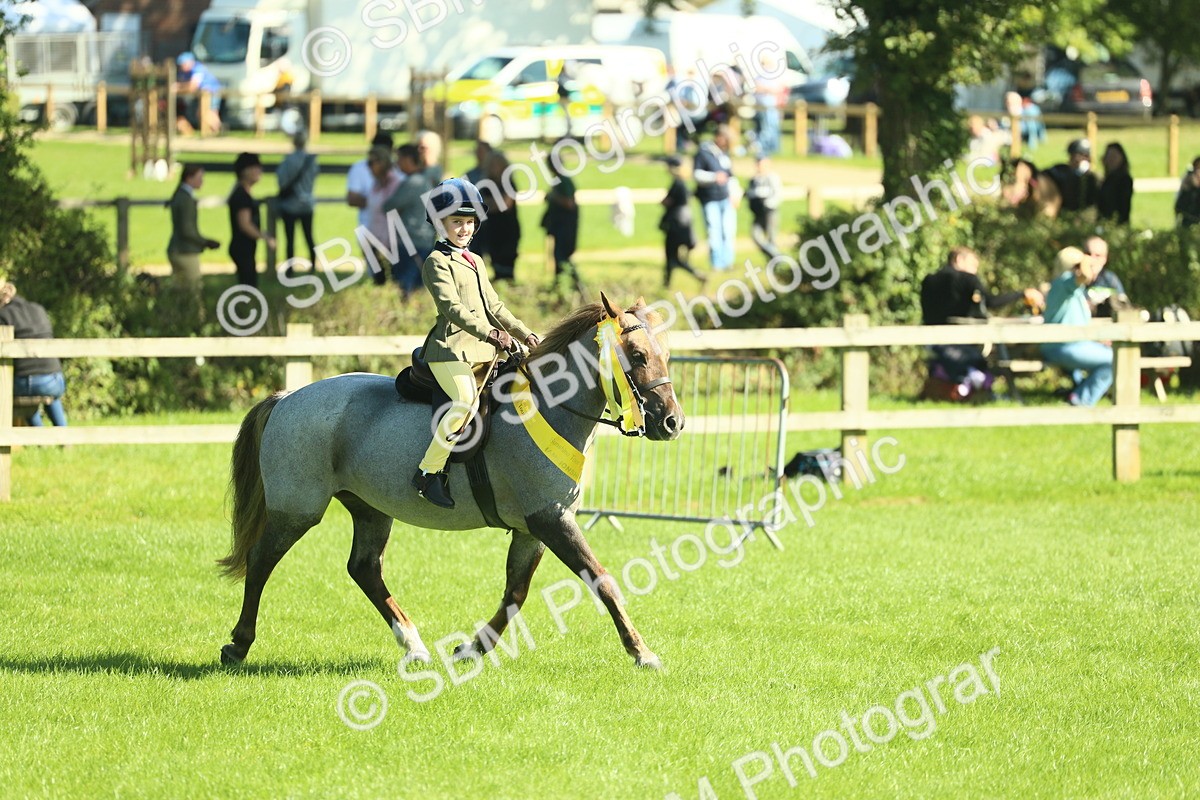 SBM_39105 - S29 - Novice & Newcomers Working Hunter Pony