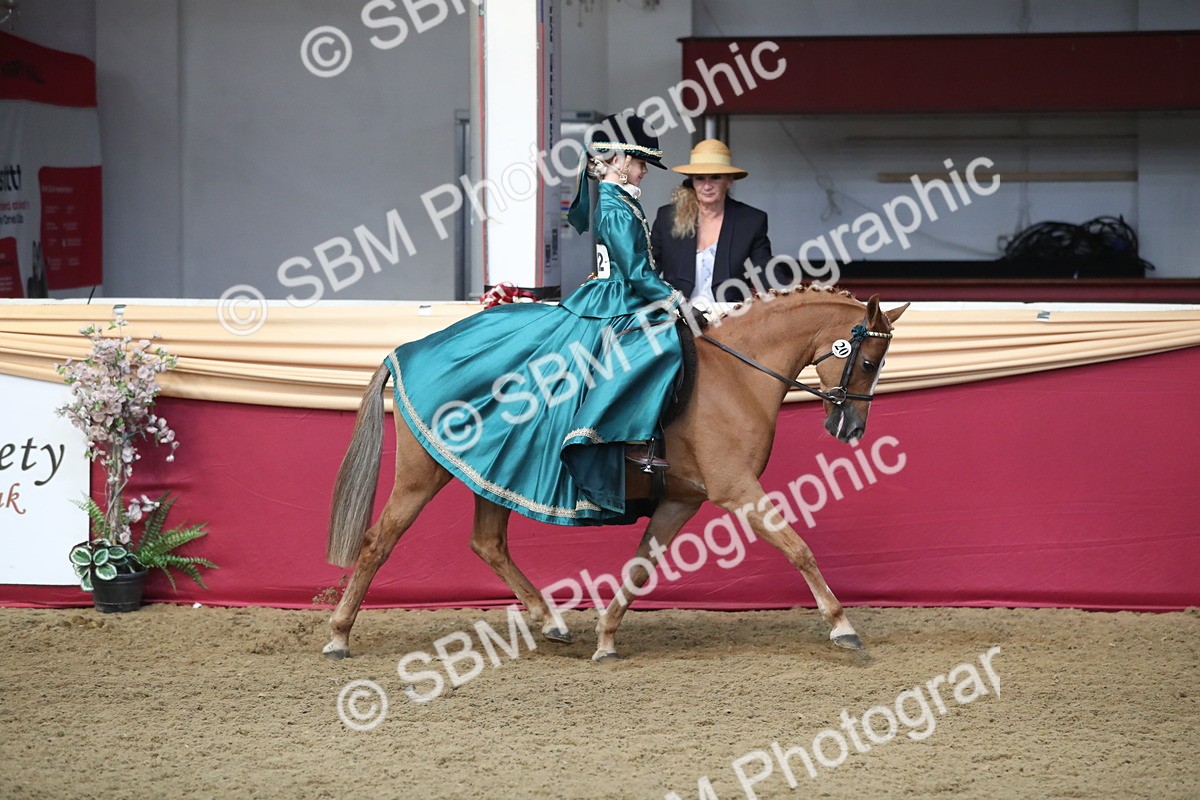 SBM_11206 - Class 104 Ridden Costume - Astride Junior