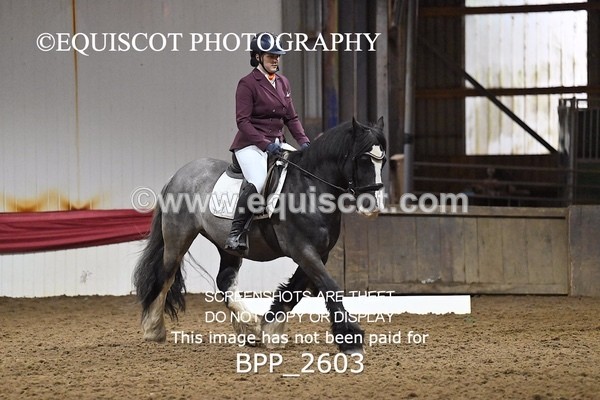 BPP_2603 - MFS PRELIM