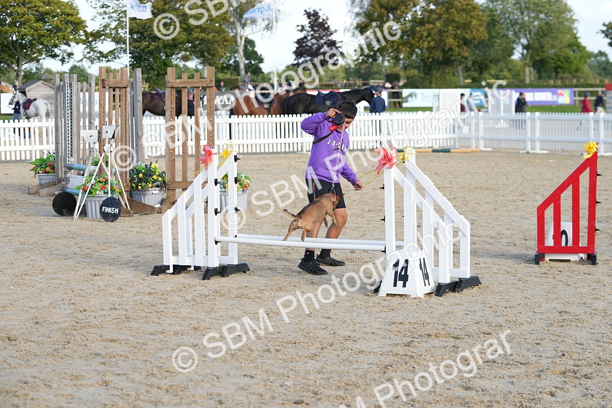 SBM_29102 - J43 - Horse & Hound Open 50cm