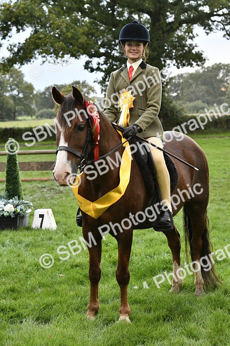 SBM_53364 - S14 - Riding Club Horse