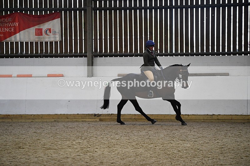 WJ5_8030 - Class 13 Ridden Part Breed