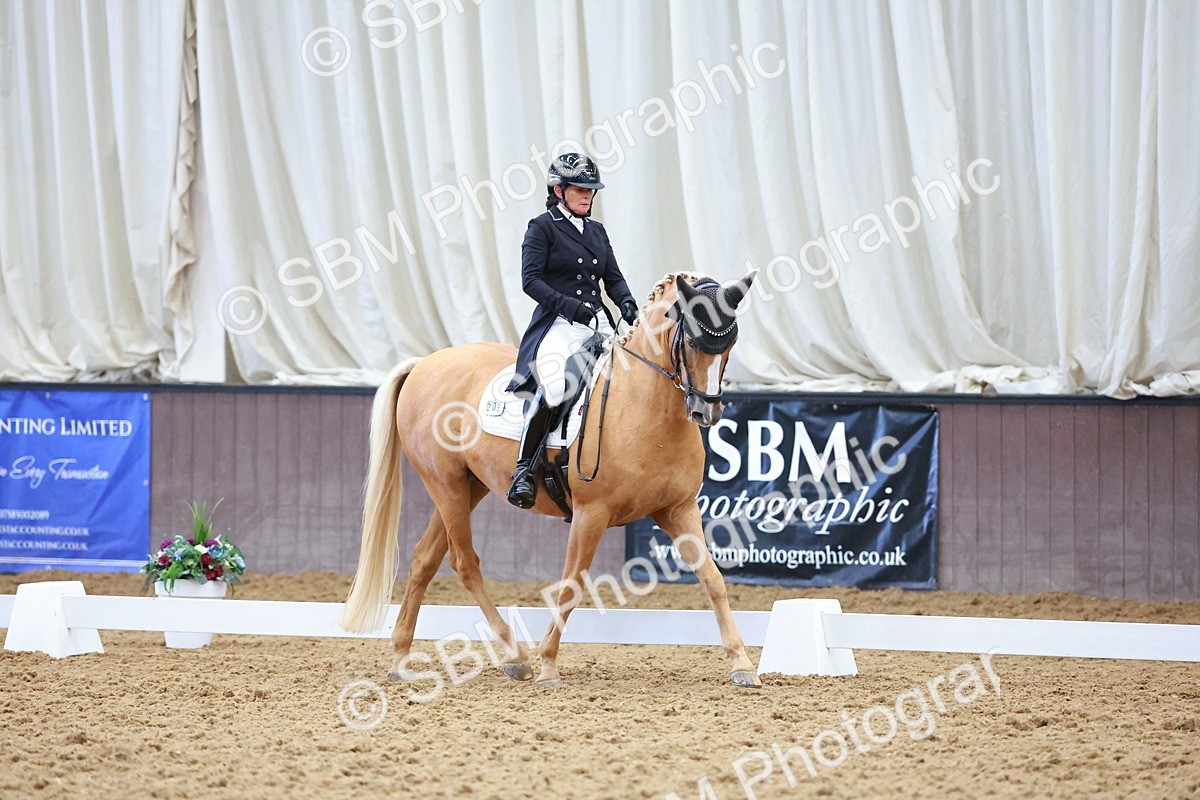 SBM_021288 - Class 25 - FEI PSG Bronze