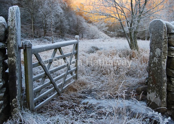 Grasmere Winter Gate - English Lake District