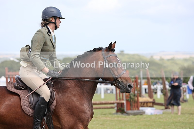 JPP_2042 - Class 19: Working Hunter 60cm