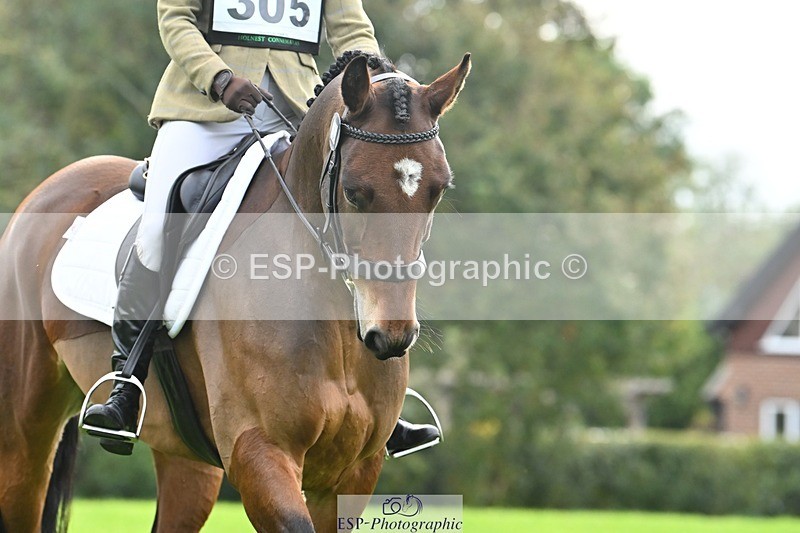 241024-102419-02173 - 305-Charlotte.Walters-HOLNEST.FEARGHAL