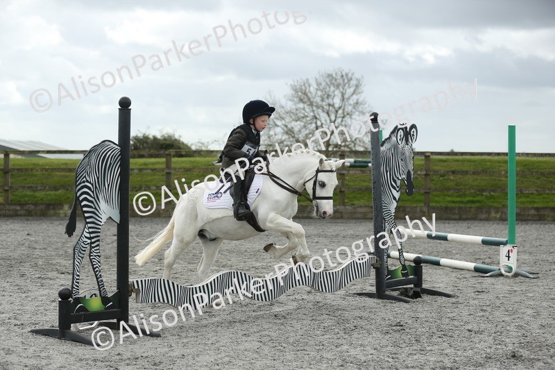 20260412-0714 - Show Jumping