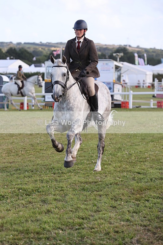 JPP_3539 - Class 22: Working Hunter 90cm