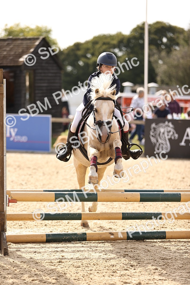 SBM_69578 - J13 - Junior Pony 60cm Championship