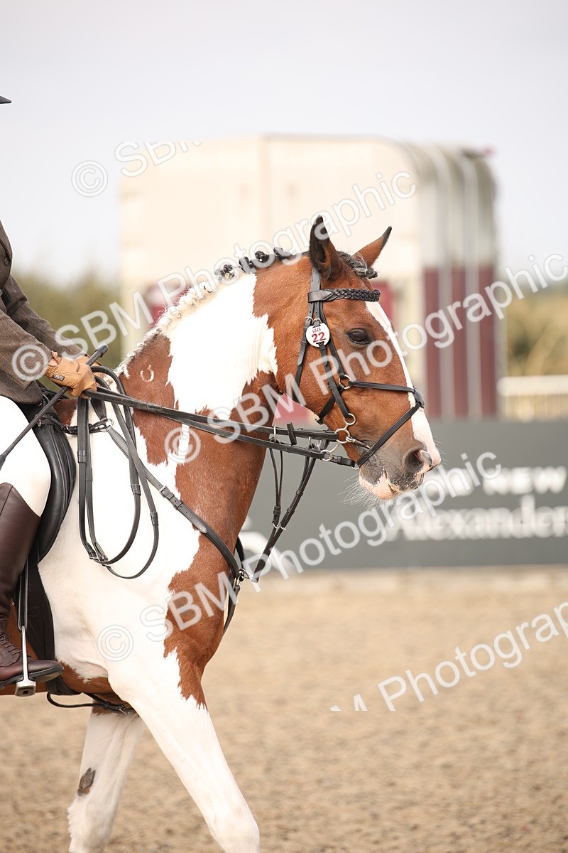 SBM_17123 - Class 409b - Working Veteran 80cm (20+)