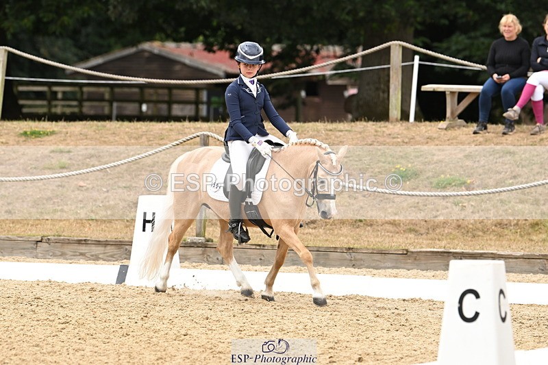 250808A-114201-00671 - 155-Rose.Cassapi-Westfirle.Golden.Oriole