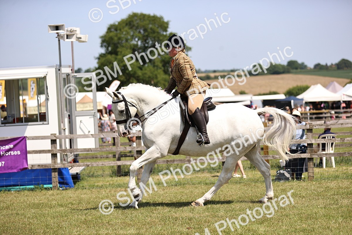SBM_16118 - Class 79-80 - LIHS BSHA Rising Star Ridden Hunter