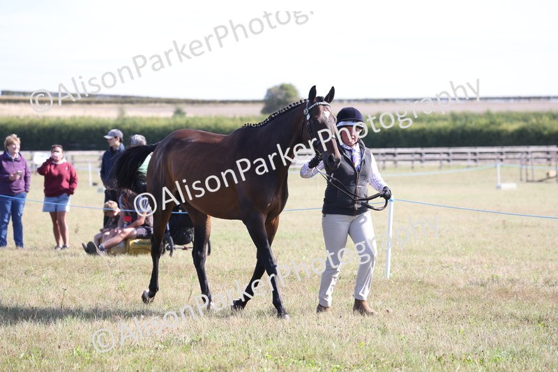 20260906-0694 - Class 22 - Ex Racehorse