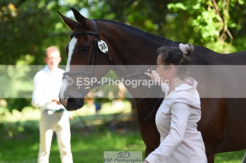 230524-153814-00408 - 368-COIRBAN_SARCO_DELUX-Rebecca_Gibbs-WEDTrotUp+DR