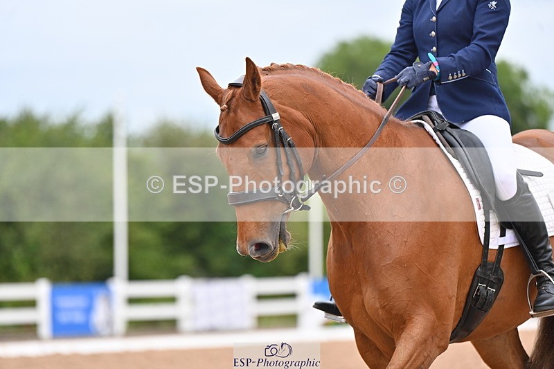 240817A-150154-09762 - 302-Charlotte.Billson-Killycloghan.Sun.King